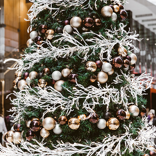 Christmas tree set up in the Retail Plaza